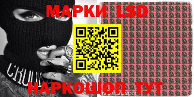 прущие грибы Абакан