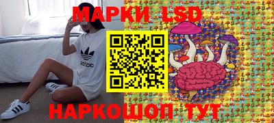 прущие грибы Абакан