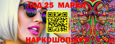 прущие грибы Абакан
