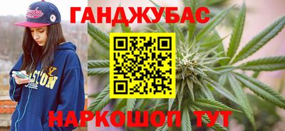 прущие грибы Абакан