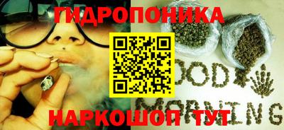 прущие грибы Абакан