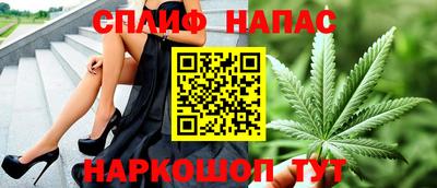 прущие грибы Абакан